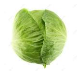 cavolo capucio verde