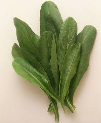 cicorino da taglio (a mazzo)