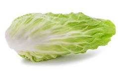 radicchio pan di zucchero